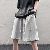 WIAOFELLAS  -  High Street Ripped Men Summer Retro Sports Cropped Pants